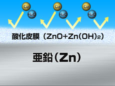 nZbL