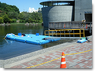 品川水族館”勝島の海” 02